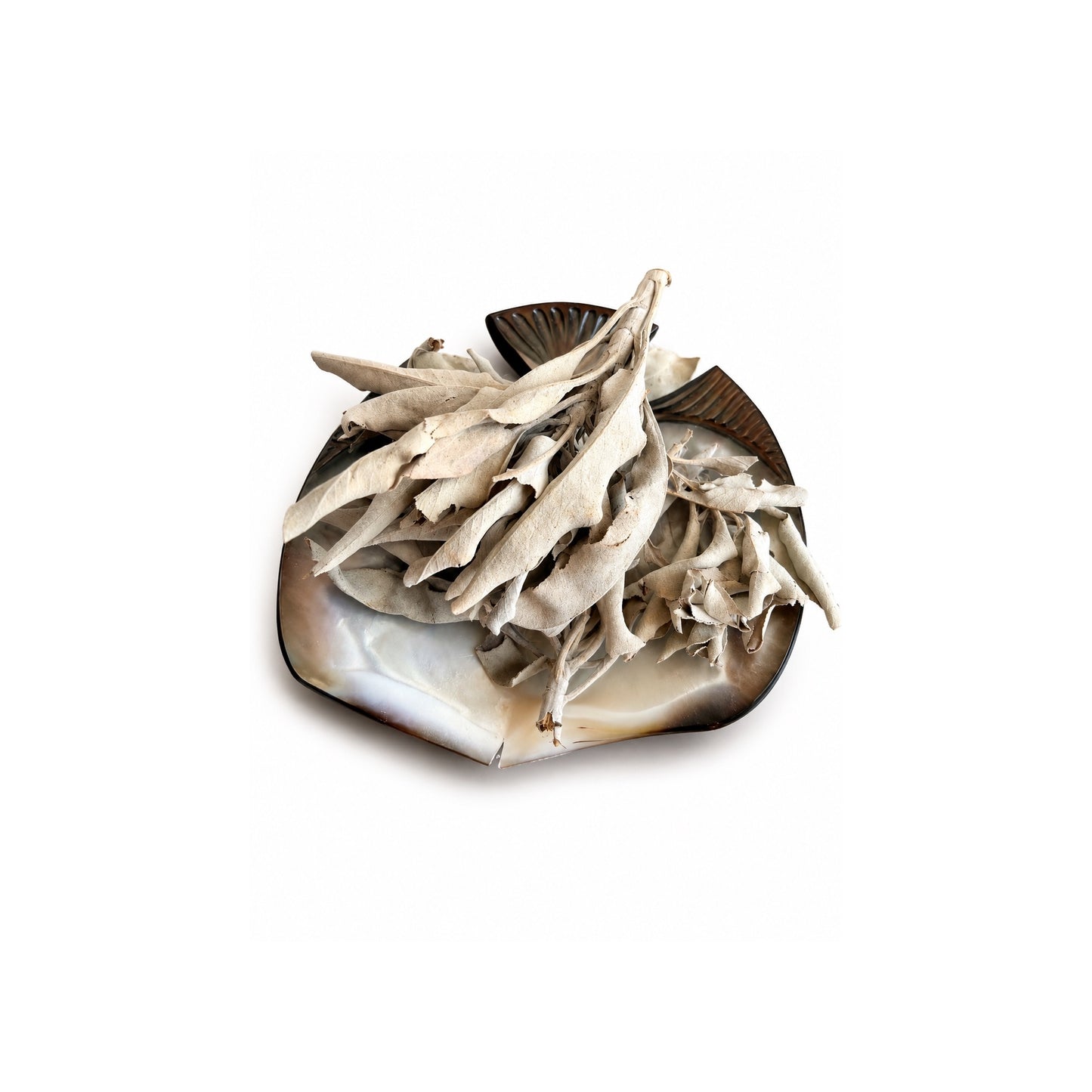Feuilles de Sauge Blanche 25g